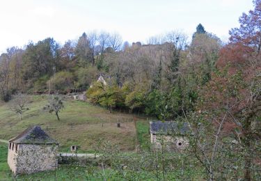 Randonnée Marche Orgnac-sur-Vézère - Gorges de la Vézère : Boucle Comborn-le Saillant - Photo