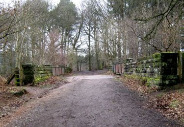 Percorso A piedi  - Mount Pleasant Circular Walk - Photo