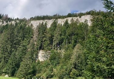 Trail Walking Bois-d'Amont - bois d amon - Photo