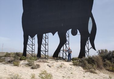 Tour Wandern Vélez-Málaga - Wikiloc - Almayate, Le Taureau - Photo