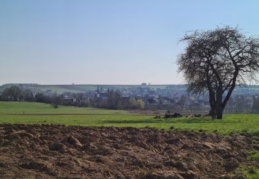 Percorso Marcia Soultz-sous-Forêts - Le sentier des cimes depuis Soultz - Photo