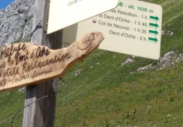 Trail Nordic walking Bernex - DENT D OCHE PAR PIC BOLLE  - Photo