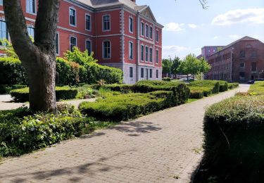 Tocht Stappen Seraing - Les bois du Val Saint-Lambert  - Photo