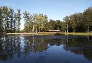 Tour Wandern Hirzbach - Hirtzbach - Photo