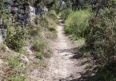 Trail Walking Saint-Paul-Trois-Châteaux - Village troglodytique du Barry - Photo