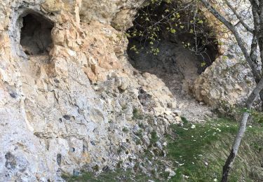 Randonnée Marche Châtillon-en-Diois - Pellebit  - Photo