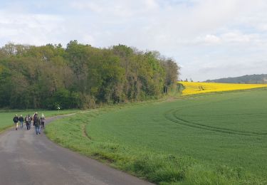 Trail Walking Nesles-la-Vallée - Nesles Labbevile - Photo