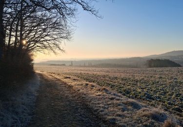 Trail Walking Saulny - saulny gds journeaux - Photo