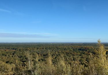 Excursión Senderismo Raismes - Forêt de Raismes - Photo