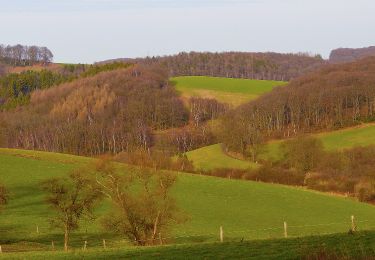 Excursión A pie Velbert - Astrath Rundweg A1 - Photo