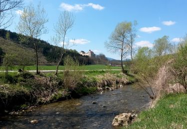 Percorso A piedi Feistritz am Wechsel - Rundwanderweg 10 (Urban-Kapelle - Feistritz - Grottendorf - Hollabrunn - Urban-Kapelle) - Photo