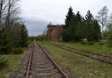 Randonnée A pied Marienberg - DE-Grüner Balken auf weißem Grund,Marienberg-Reitzenhain - Photo