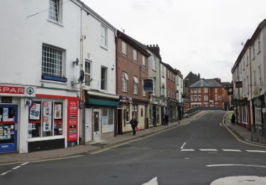 Percorso A piedi Mid Devon - Tiverton Tree Trail - Photo