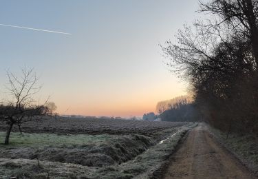 Tocht Stappen Saulny - saulny tour - Photo