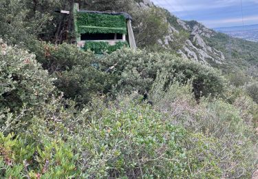 Randonnée Marche La Valette-du-Var - Baudouin pierre - Photo