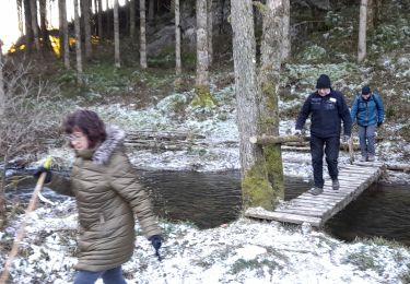 Trail Walking Houffalize - lac / wibrin - Photo