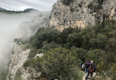 Excursión Senderismo Saint-Guilhem-le-Désert - Les lavagnes  - Photo