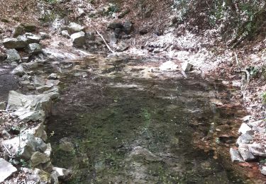 Trail Walking Magny-le-Désert - bagnoles de l'orne j3 - Photo