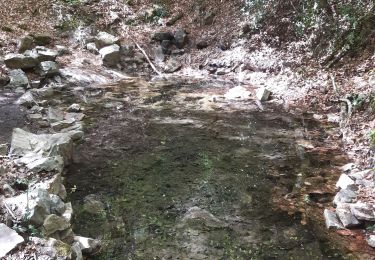 Percorso Marcia Magny-le-Désert - bagnoles de l'orne j3 - Photo