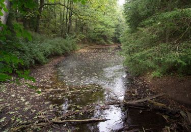 Randonnée A pied Schloß Holte-Stukenbrock - Romantisches Furlbachtal - Photo