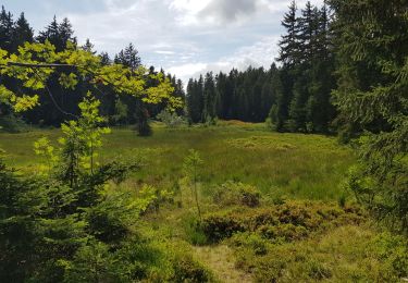 Excursión Bici de montaña Hauteluce - 2019.08.13-24,7km-Saisies Chemin des Marmottes Carrefour direction Coehnoz Lac des Saisies Bisanne Descente par piste VTT Saisies - Photo