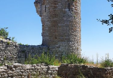 Trail Walking Rougiers - Castrum de Rougiers après modification N2 - Photo