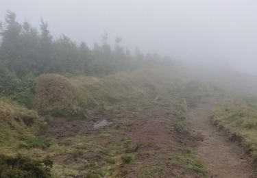 Tocht Te voet São Pedro de Nordestinho - PRC7SMI Pico da Vara - Photo