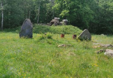 Tour Wandern Monthermé - Roc la Tour jeudi 19 mai  - Photo