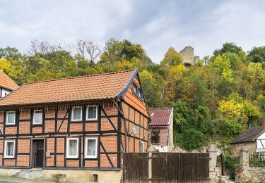 Excursión A pie Oebisfelde-Weferlingen - Lappwald Rundwanderweg 17 - Photo