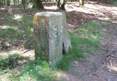 Percorso Mountainbike Wisembach - Col de Sainte Marie Bagenelles AR - Photo