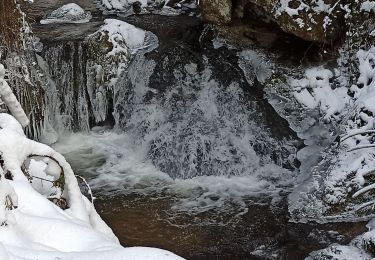 Excursión Senderismo Le Val-d'Ajol - 104-02-21 cascade du Gehard - étang de la Mollière - Photo