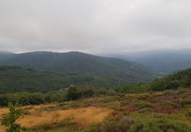 Trail Trail Saint-Pons-de-Thomières - le Mourel - Photo