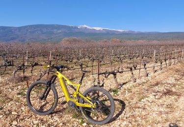 Trail Mountain bike Mormoiron - Un autre jour au Paradis !!!🤩🤩🤩 - Photo
