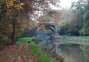 Trail Walking Saint-Médard-sur-Ille - 191119 St Medard sur Ille - Photo