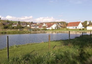 Percorso Marcia Bouvaincourt-sur-Bresle - Bouvaincourt sur Bresle le grand marer  - Photo