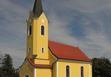 Excursión A pie Gemeinde Zwettl-Niederösterreich - Naturfreundeweg 10 - Photo