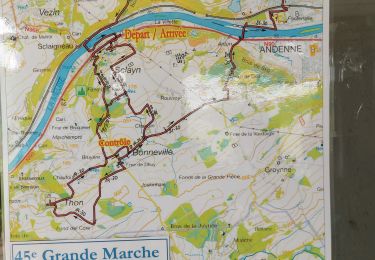 Tocht Stappen Andenne - SCLAYN _ ( Andenne ) _ Marche Fédérale _ NA _26/05/2022 - Photo