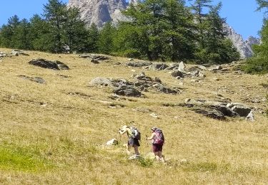 Excursión Senderismo Névache - Nevache - chalets de Larraux  - Photo