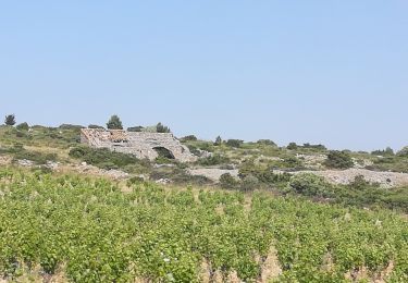 Percorso Marcia Roquefort-des-Corbières - boucle pastorale 2019 - Photo