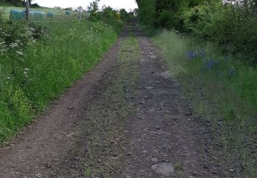 Randonnée Marche Solignat - PUY D'YSSON - Photo