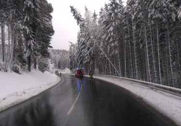 Tocht Te voet Bad Leonfelden - Elmegg - Schönau - Photo