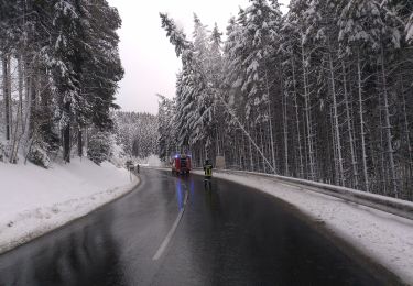 Randonnée A pied Bad Leonfelden - Elmegg - Schönau - Photo