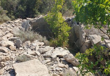 Trail Walking Cazevieille - dolmen cazevielle - Photo