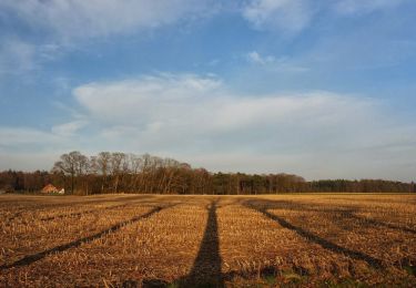 Trail On foot Bronckhorst - Lokaal Vorden - Photo