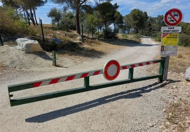 Tocht Mountainbike Vallabrègues - Vallabrègues Boulbon (moulin) - Photo