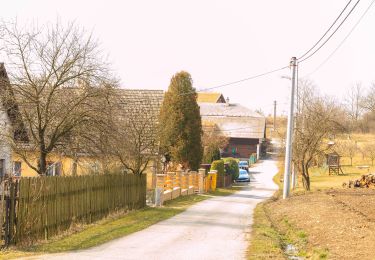 Trail On foot Rychnov nad Kněžnou - PPP Stezka - Photo