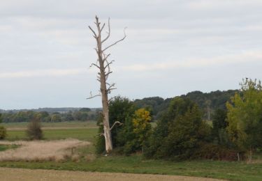 Tocht Stappen Avessac - 190- les 2 rives par Painfaut - Photo