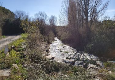 Tour Wandern Caunes-Minervois - 2023-03-16 Tour de Caunes à l'envers - Photo