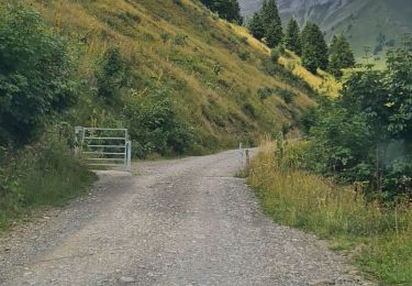 Trail 4x4 Sevrier - route de la soif 25/07/2025 - Photo