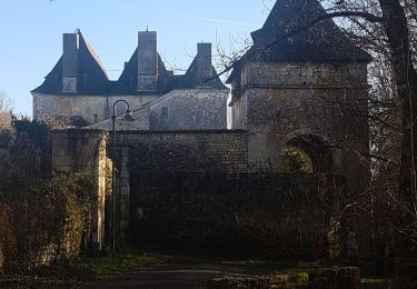 Trail Walking Bussac-sur-Charente - Bussac su Charente  - Photo